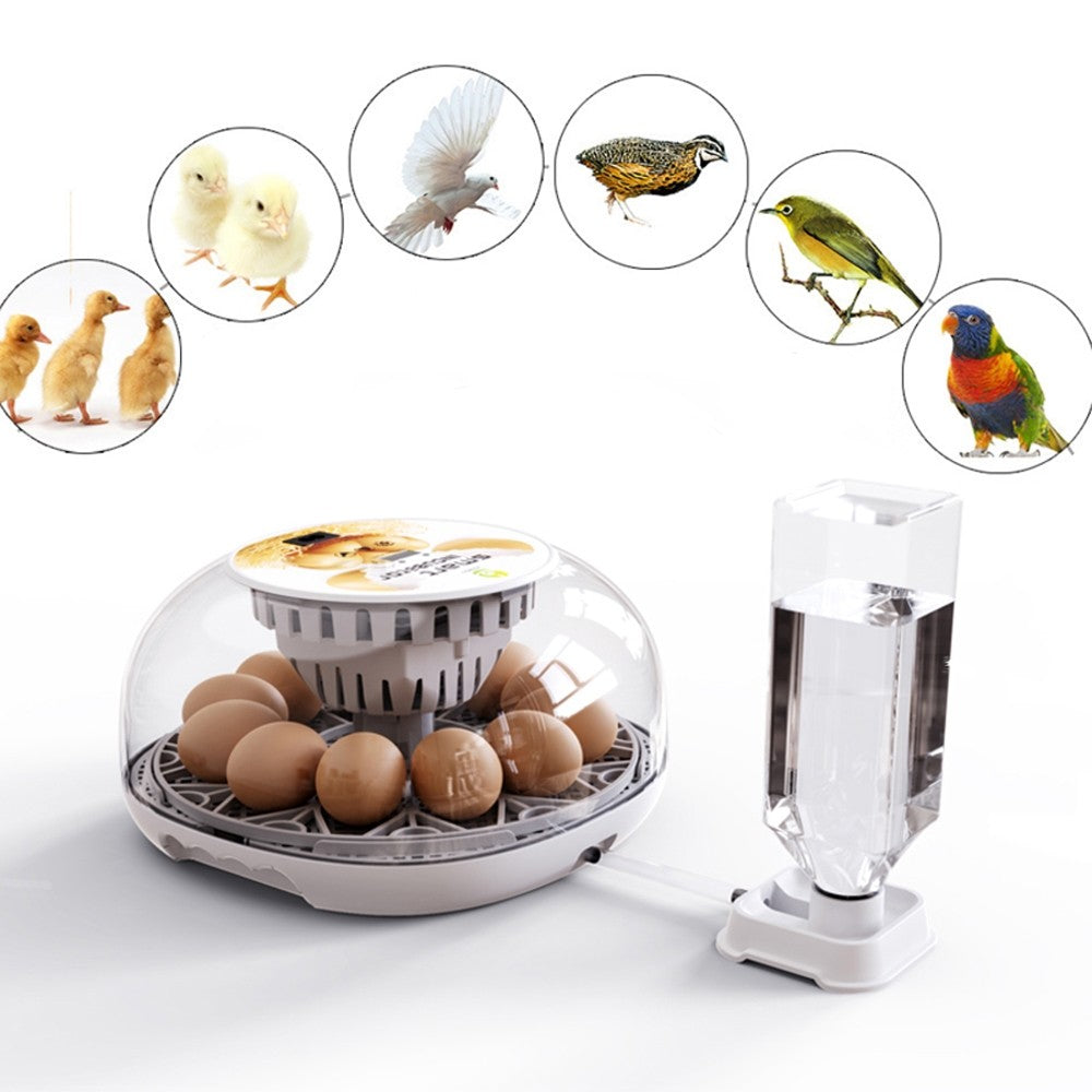 12 Egg Incubator, image shows its wide range application, suitable for various poultry