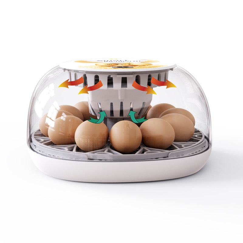 temperature stability of this 12 Egg Incubator