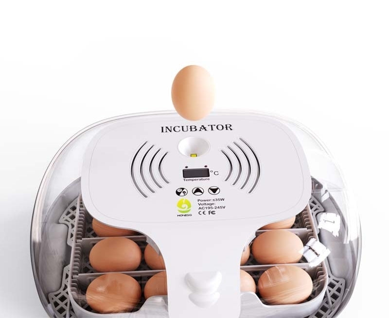 Automatic Egg Incubator for hatching, built-in egg candler