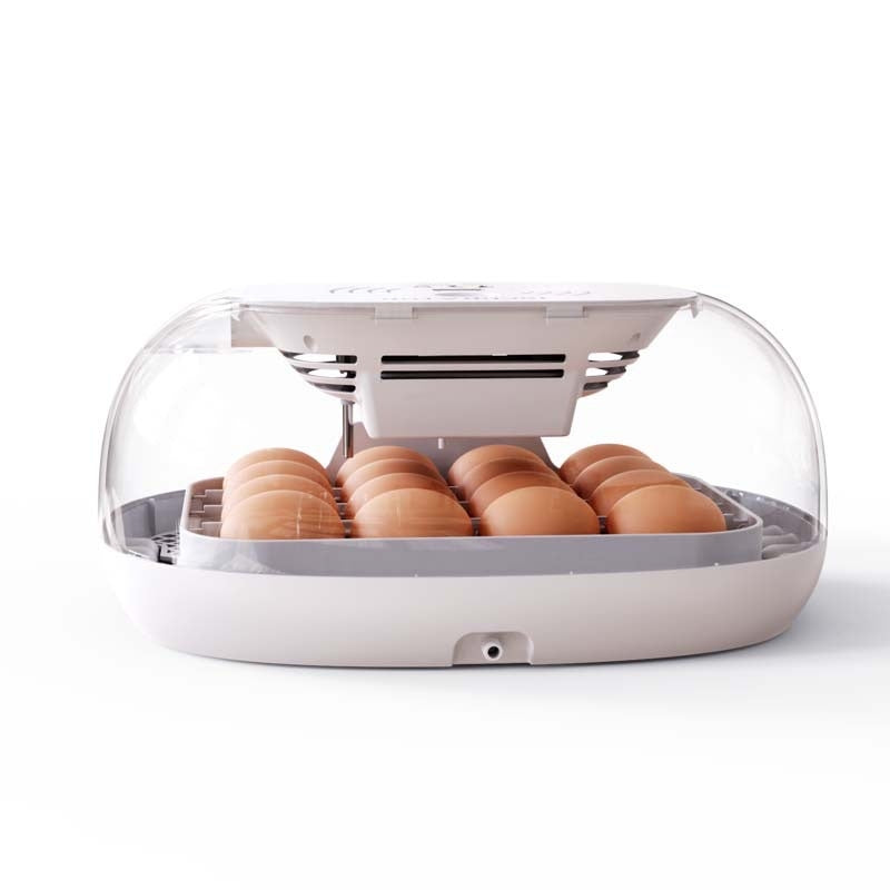 Automatic Egg Incubator for hatching