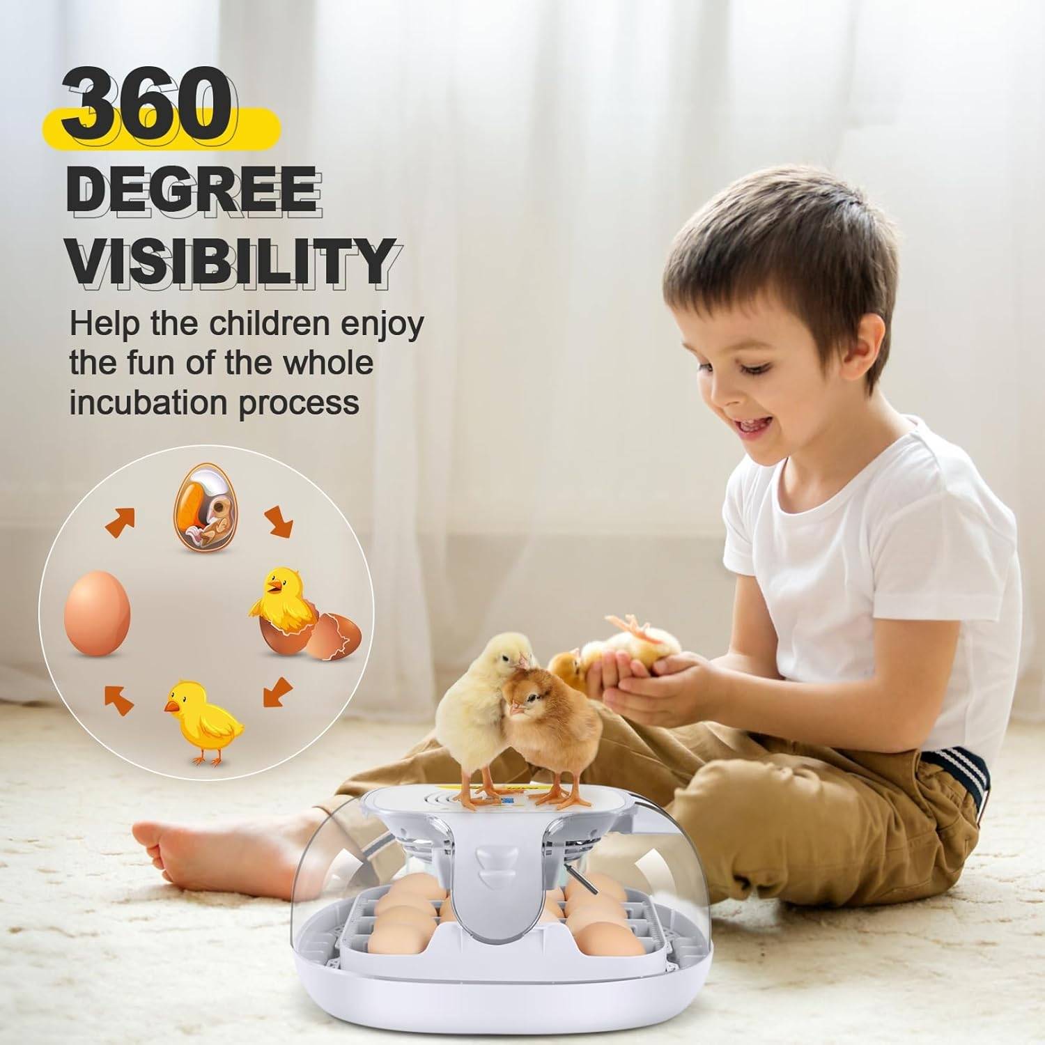 Automatic Egg Incubator for hatching, image shows its 360 degree visibility