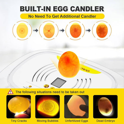 Automatic Egg Incubator for hatching, a built-in egg candler which can observe the whole process of hatching