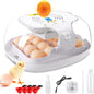 full Automatic Egg Incubator for hatching