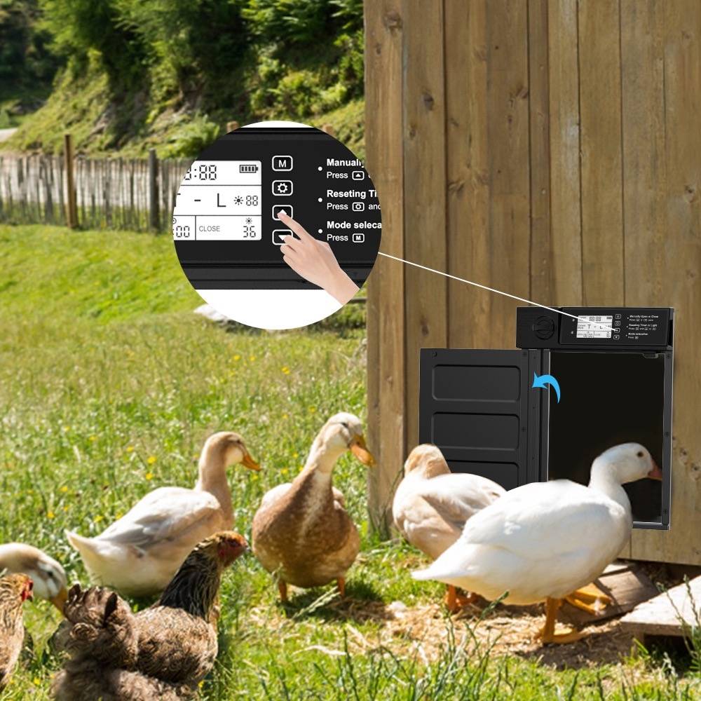 Automatic chicken coop door with swing-opening design, solar panel, and USB Type-C charging capabilities.