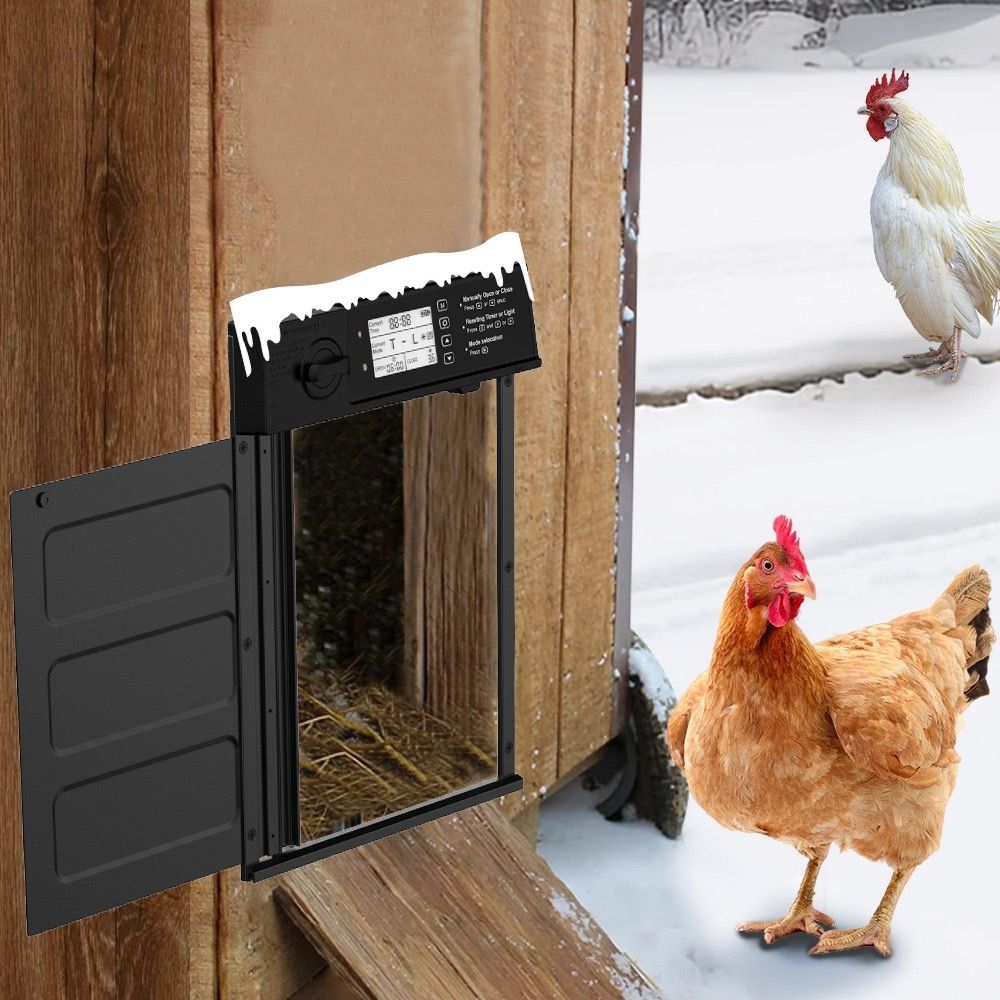 image shows the automatic chicken coop door work in snowy weather