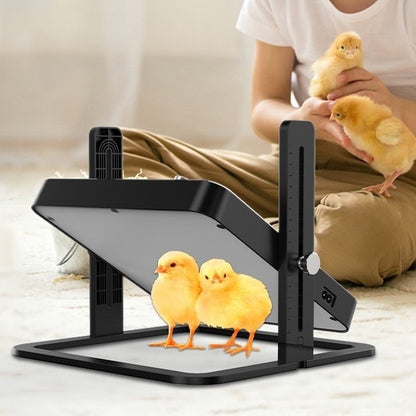 brooder heater plate Chick Warmer