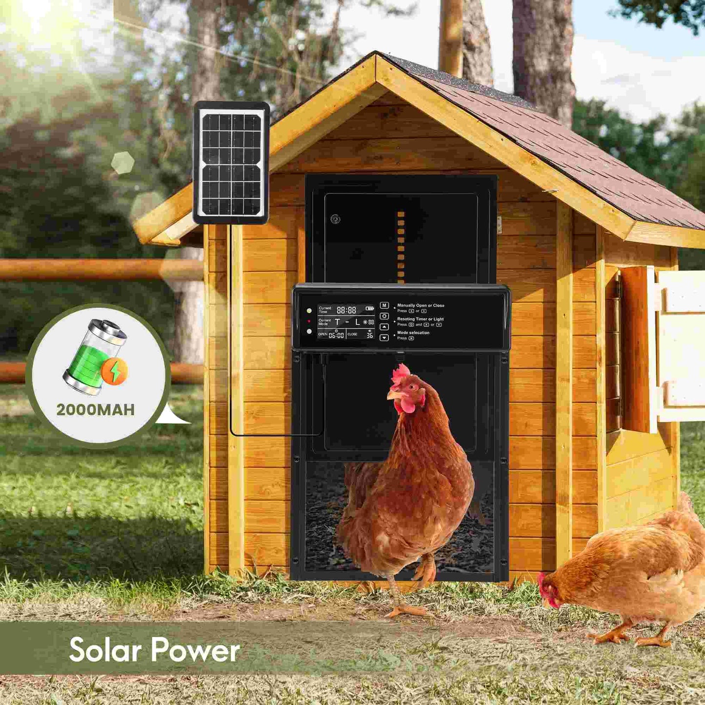 Automatic Chicken Coop Door with solar panel