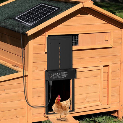 automatic chicken coop door after installation