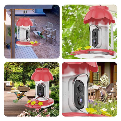 image showing different applications of the smart hummingbird feeder