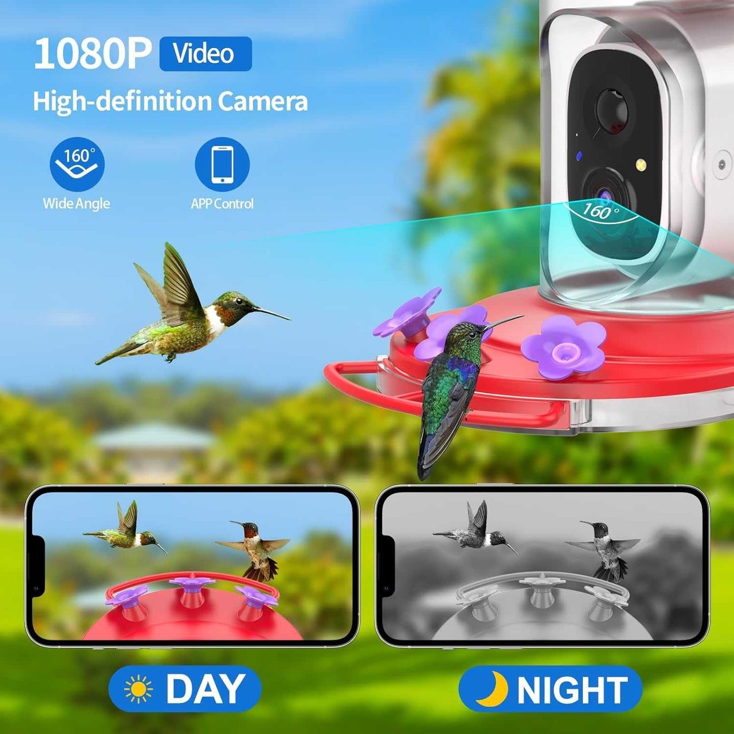 image showing the wide angle lens and night vision feature of the smart hummingbird feeder